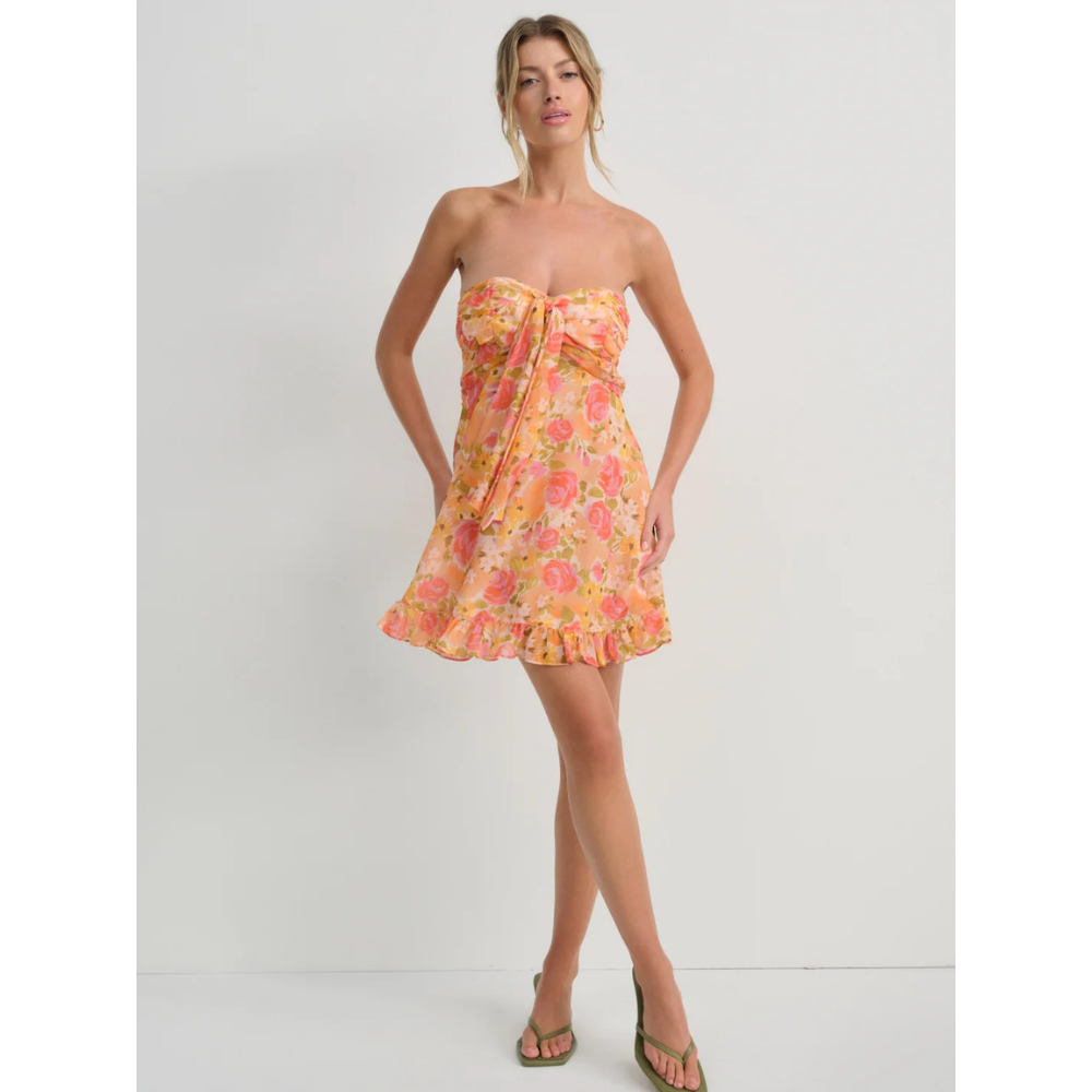 IRIS MINI DRESS